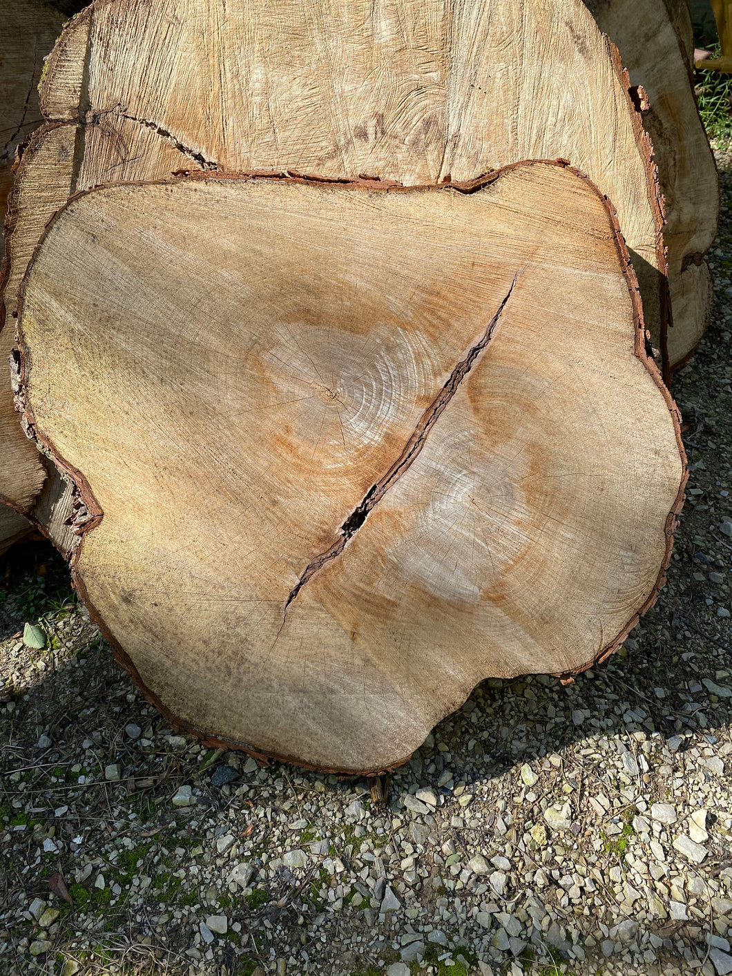 Wood Cookies - Maple